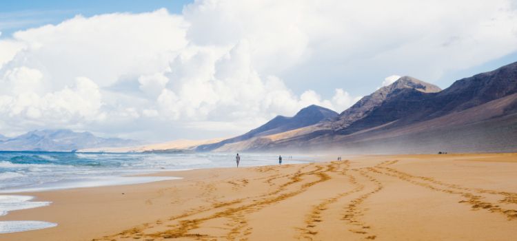 Angebot: Oasen im Atlantik